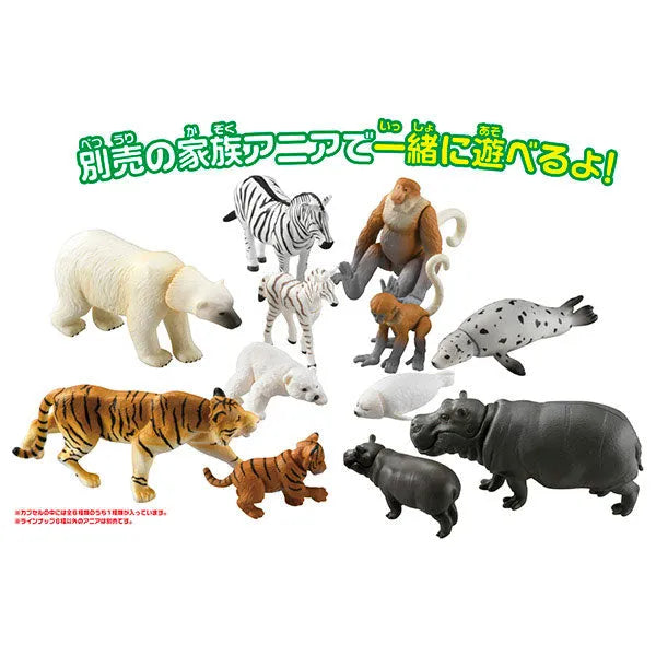Ania Gacha and Korokoro Capsule 2 12Pack BOXㅤ – Takara Tomy – ActionFigureBrasil
