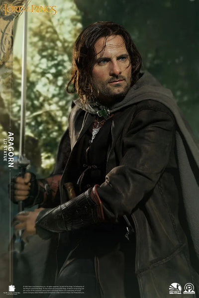 Aragorn - LIMITED EDITION: 499 – Infinity Studio – ActionFigure Brasil — embalagem