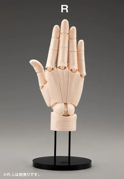 Artist Support Item - Hand Model - 1/1 - R Pale Orange (Kotobukiya)ㅤ – Kotobukiya – ActionFigureBrasil