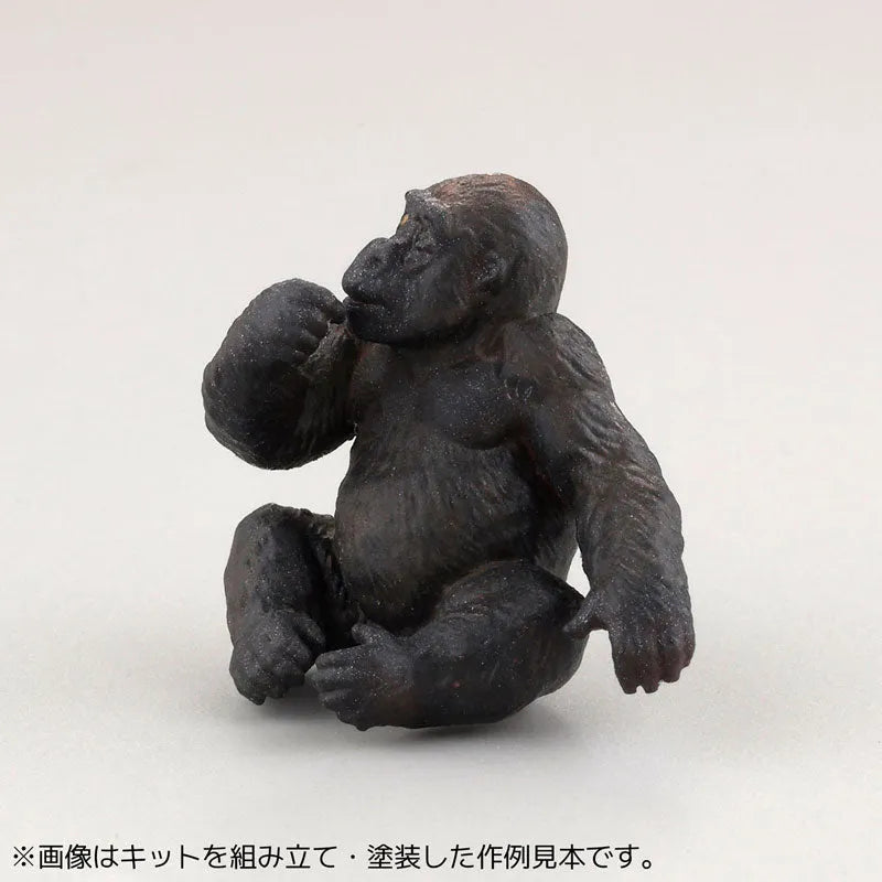 ARTPLA Zookeepers and Baby Gorilla Set 6Pack BOXㅤ – Kaiyodo – ActionFigureBrasil
