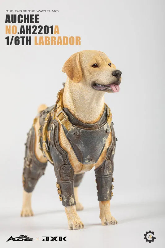 Auchee x JXK Studio 1/6 Labrador Aㅤ – JXK Studio – ActionFigureBrasil