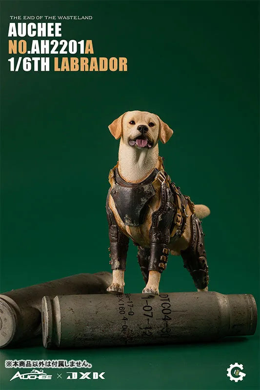 Auchee x JXK Studio 1/6 Labrador Aㅤ – JXK Studio – ActionFigureBrasil