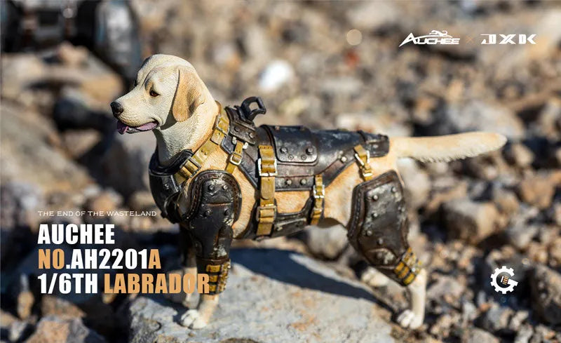 Auchee x JXK Studio 1/6 Labrador Aㅤ – JXK Studio – ActionFigureBrasil