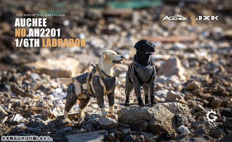 Auchee x JXK Studio 1/6 Labrador Aㅤ – JXK Studio – ActionFigureBrasil