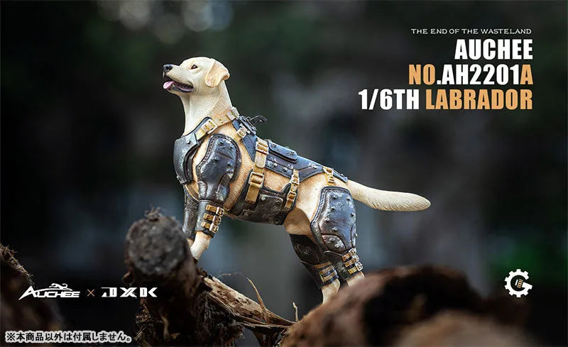 Auchee x JXK Studio 1/6 Labrador Aㅤ – JXK Studio – ActionFigureBrasil