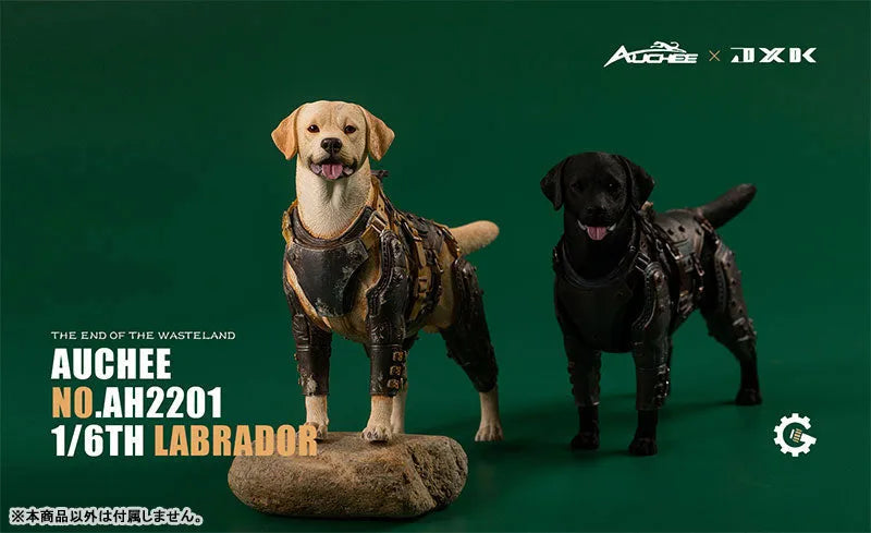 Auchee x JXK Studio 1/6 Labrador Bㅤ – JXK Studio – ActionFigureBrasil