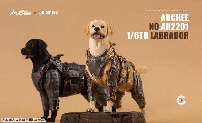 Auchee x JXK Studio 1/6 Labrador Bㅤ – JXK Studio – ActionFigureBrasil