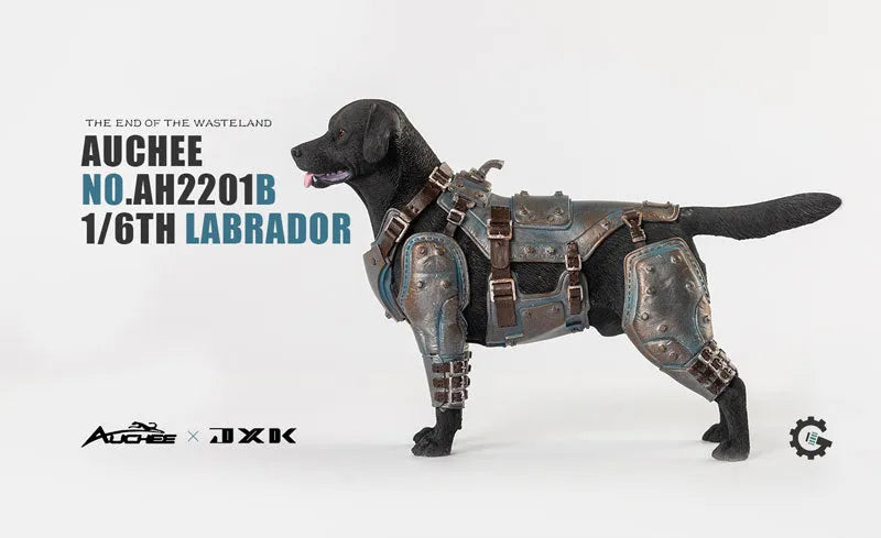 Auchee x JXK Studio 1/6 Labrador Bㅤ – JXK Studio – ActionFigureBrasil