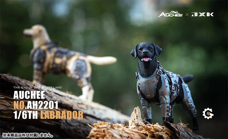 Auchee x JXK Studio 1/6 Labrador Bㅤ – JXK Studio – ActionFigureBrasil
