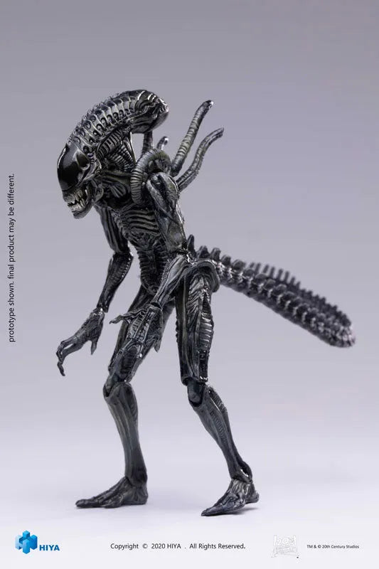 AVP2 1/18 Action Figure Zeno Warriorㅤ – Hiya Toys – ActionFigureBrasil