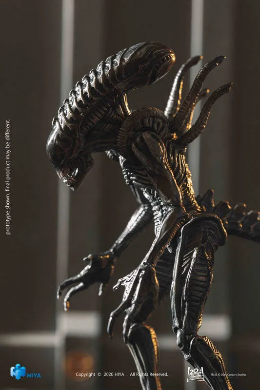 AVP2 1/18 Action Figure Zeno Warriorㅤ – Hiya Toys – ActionFigureBrasil