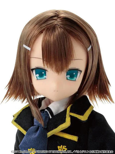 Baka to Test to Shoukanjuu - Kinoshita Hideyoshi - Asterisk Collection Series - PureNeemo - 003 - 1/6 (Azone)ㅤ – Azone International – ActionFigureBrasil — embalagem