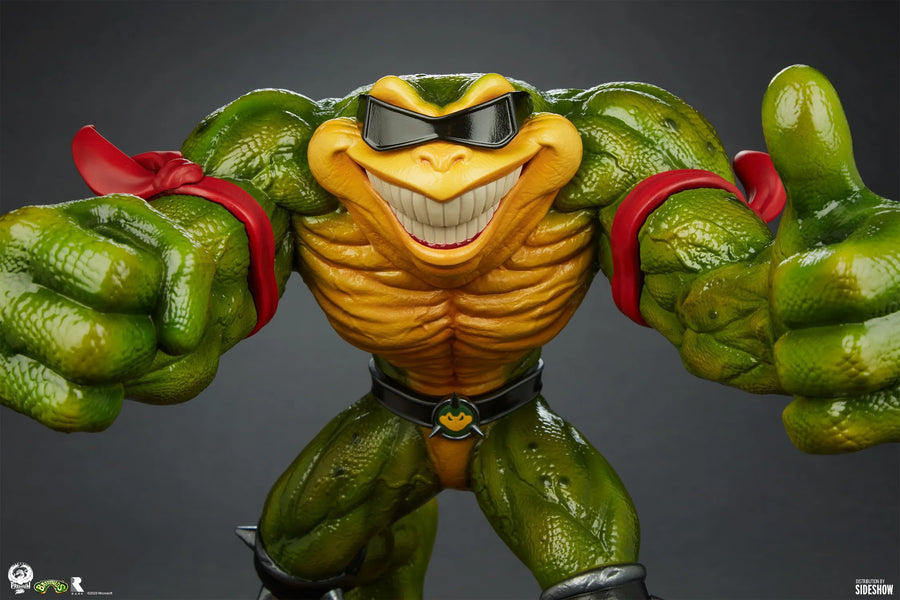 Battletoads Brawler Collection - LIMITED EDITION: 350 (Battletoads Brawler Set) – PCS – ActionFigure Brasil