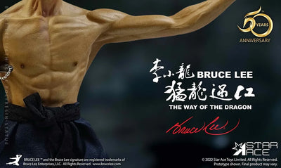 Bruce Lee – Star Ace Toys Ltd. – ActionFigure Brasil — close