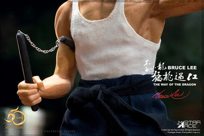 Bruce Lee – Star Ace Toys Ltd. – ActionFigure Brasil — acessórios