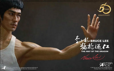 Bruce Lee – Star Ace Toys Ltd. – ActionFigure Brasil — close