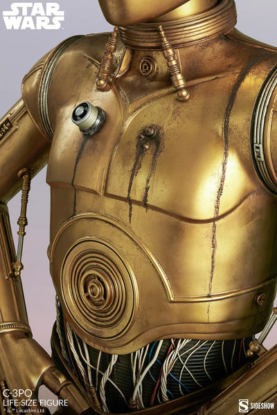 C-3PO - LIMITED EDITION – Sideshow Collectibles – ActionFigure Brasil — acessórios