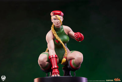 Cammy & Birdie – PCS – ActionFigure Brasil — close