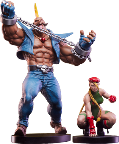 Cammy & Birdie – PCS – ActionFigure Brasil — embalagem