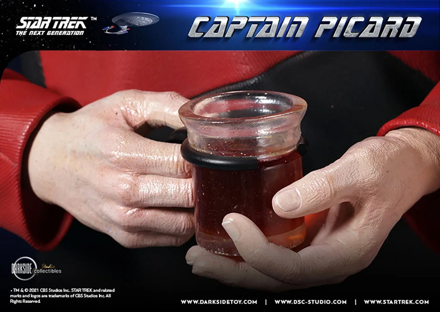 Captain Picard - LIMITED EDITION: 150 – DarkSide Collectibles Studio – ActionFigure Brasil