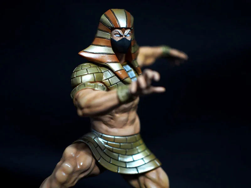 CCP Muscular Collection Vol. 6 