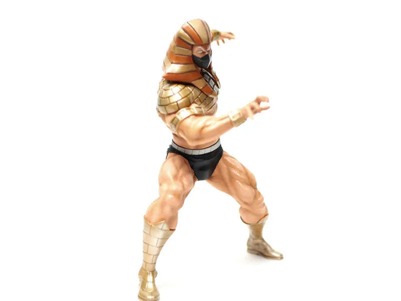 CCP Muscular Collection Vol. 6 