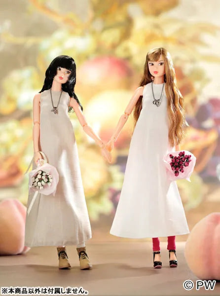 CCS 21SP momoko long Complete Dollㅤ – PetWORKs – ActionFigureBrasil