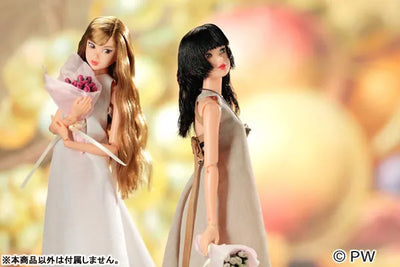 CCS 21SP momoko long Complete Dollㅤ – PetWORKs – ActionFigureBrasil — ambientada