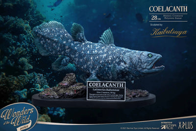 Coelacanth – Star Ace Toys Ltd. – ActionFigure Brasil — com base expositora