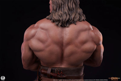 Conan - LIMITED EDITION: 400 (Classic Edition) – PCS – ActionFigure Brasil — acessórios
