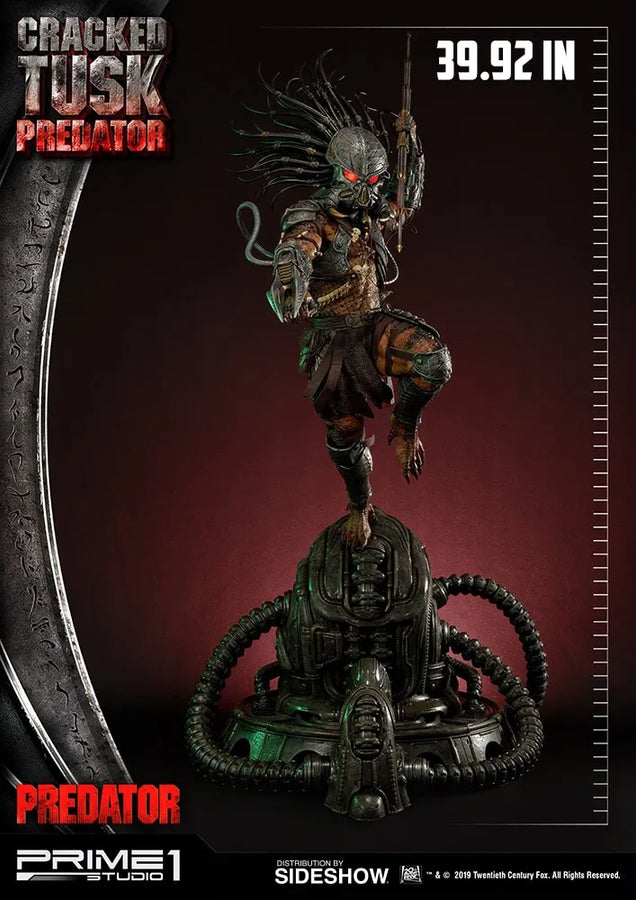 Cracked Tusk Predator - LIMITED EDITION: 300 (Exclusive) – Prime 1 Studio – ActionFigure Brasil
