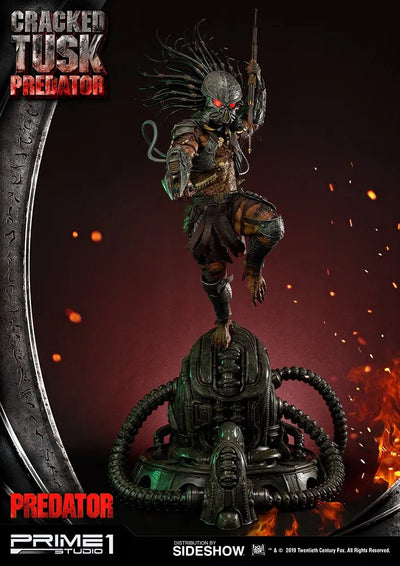 Cracked Tusk Predator - LIMITED EDITION: 300 (Exclusive) – Prime 1 Studio – ActionFigure Brasil — ambientada