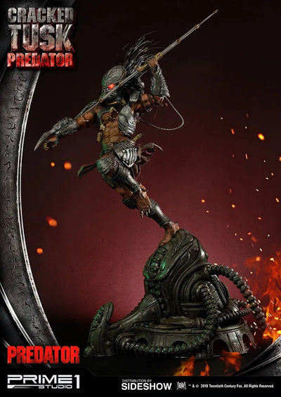 Cracked Tusk Predator - LIMITED EDITION: 300 (Exclusive) – Prime 1 Studio – ActionFigure Brasil — iluminação de estúdio