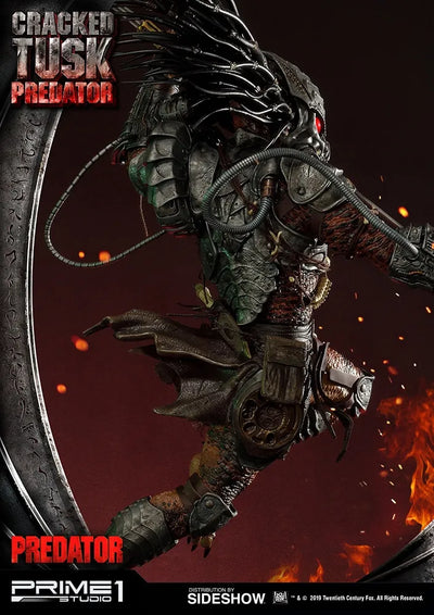 Cracked Tusk Predator - LIMITED EDITION: 300 (Exclusive) – Prime 1 Studio – ActionFigure Brasil — iluminação de estúdio