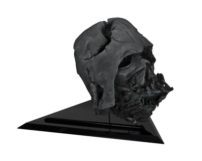 Darth Vader Pyre Helmet - LIMITED EDITION: 250 – EFX – ActionFigure Brasil — embalagem