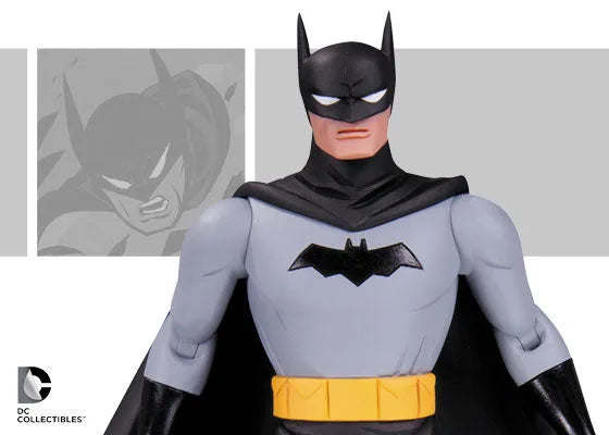 DC Comics 6 Inch - DC Action Figure: 