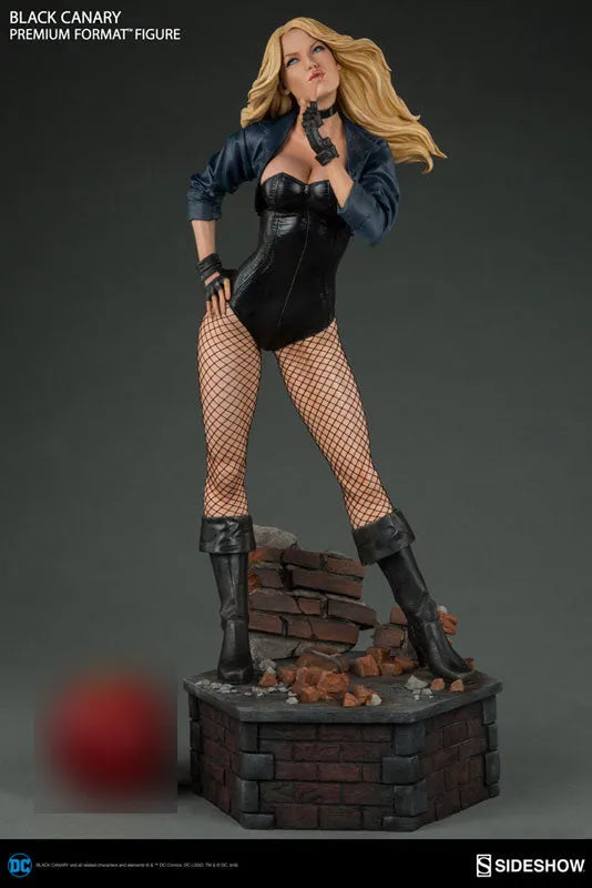 DC Comics - Premium Format Figure: Black Canaryㅤ – Sideshow Collectibles – ActionFigureBrasil