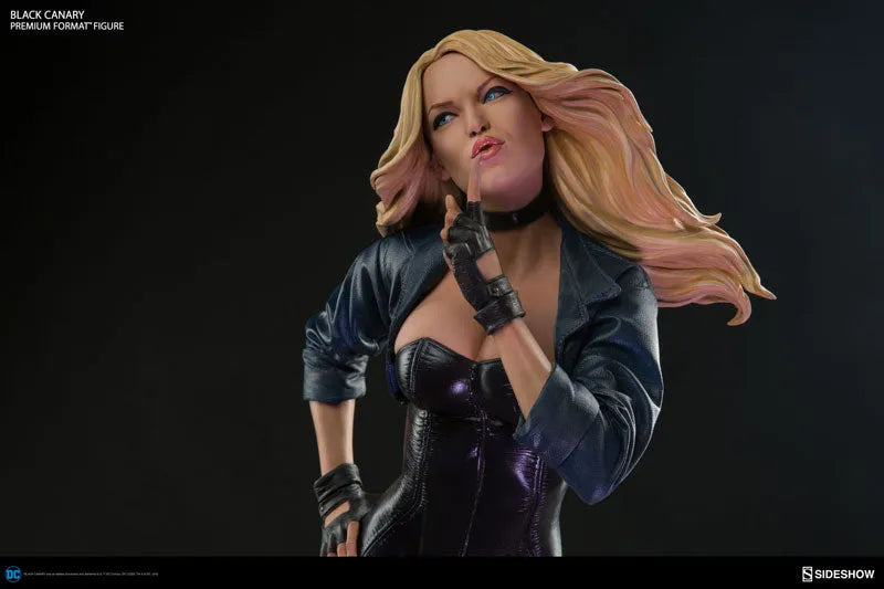DC Comics - Premium Format Figure: Black Canaryㅤ – Sideshow Collectibles – ActionFigureBrasil