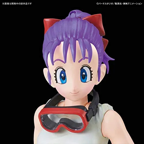 Dragon Ball - Bulma - Figure-rise Mechanics - Bulma's Variable Type No.19 Bike (Bandai)ㅤ – Bandai – ActionFigureBrasil