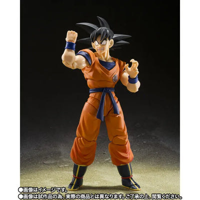 Dragon Ball Z - Son Gohan - Son Goku - S.H.Figuarts - Kid & Kintoun (Bandai Spirits) [Shop Exclusive]ㅤ – Bandai Spirits – ActionFigureBrasil — acessórios