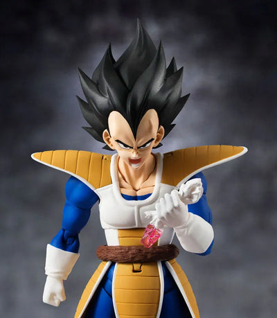 Dragon Ball Z - Vegeta - S.H.Figuarts (Bandai, Bandai Spirits)ㅤ – Bandai Spirits – ActionFigureBrasil — com base expositora