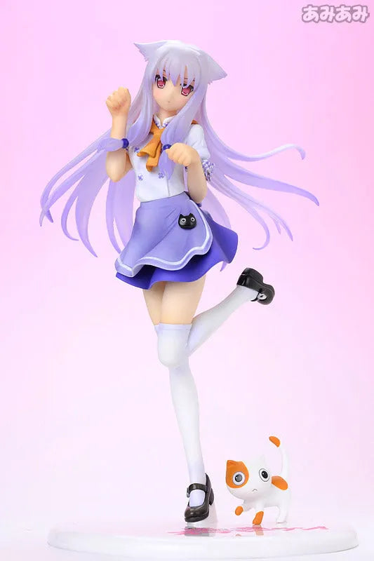 Excellent Model 