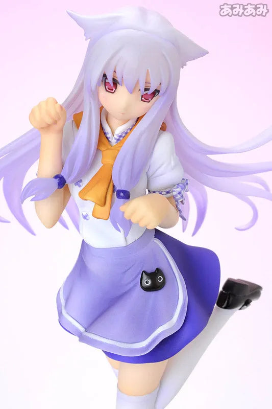 Excellent Model 