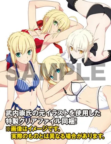 Fate/EXTRA - Fate/Stay Night - Saber - Saber Alter - Saber EXTRA - Saber Lily - Dream Tech - Lingerie Style - 1/8 (Wave)ㅤ – Wave – ActionFigureBrasil