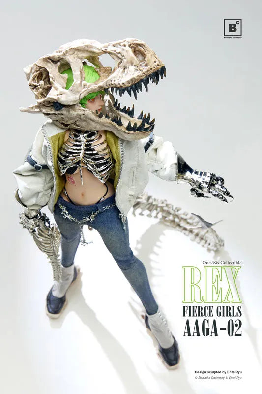Fierce Girls Series - BONEGIRL - Gunner AAGA-02 - Rex - 1/6 (Beautiful Chemistry)ㅤ – Beautiful Chemistry – ActionFigureBrasil