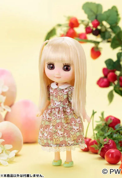 Fruit Party Odeco-chan Complete Dollㅤ – PetWORKs – ActionFigureBrasil