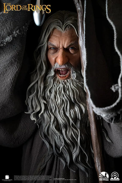Gandalf the Grey (Premium Edition) - LIMITED EDITION: 250 (Premium Edition) – Infinity Studio X Penguin Toys – ActionFigure Brasil — acessórios