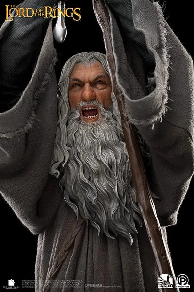 Gandalf the Grey (Premium Edition) - LIMITED EDITION: 250 (Premium Edition) – Infinity Studio X Penguin Toys – ActionFigure Brasil — ângulo diferente