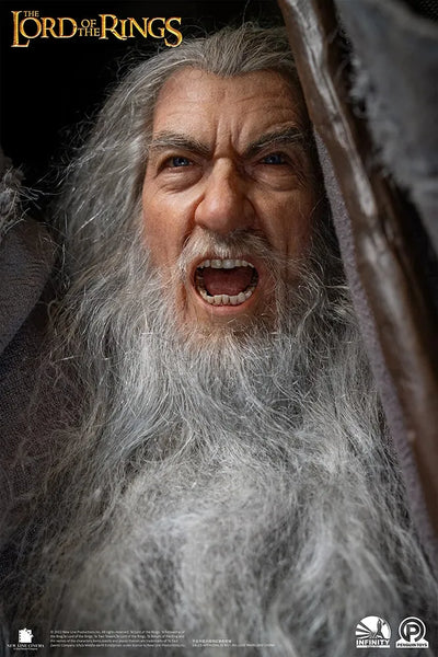 Gandalf the Grey (Ultimate Edition) - LIMITED EDITION: 250 (Ultimate Edition) – Infinity Studio X Penguin Toys – ActionFigure Brasil — ambientada