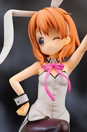 Gochuumon wa Usagi Desu ka?? - Hoto Kokoa - 1/8 - Bunny ver (Pulchra)ㅤ – Pulchra – ActionFigureBrasil